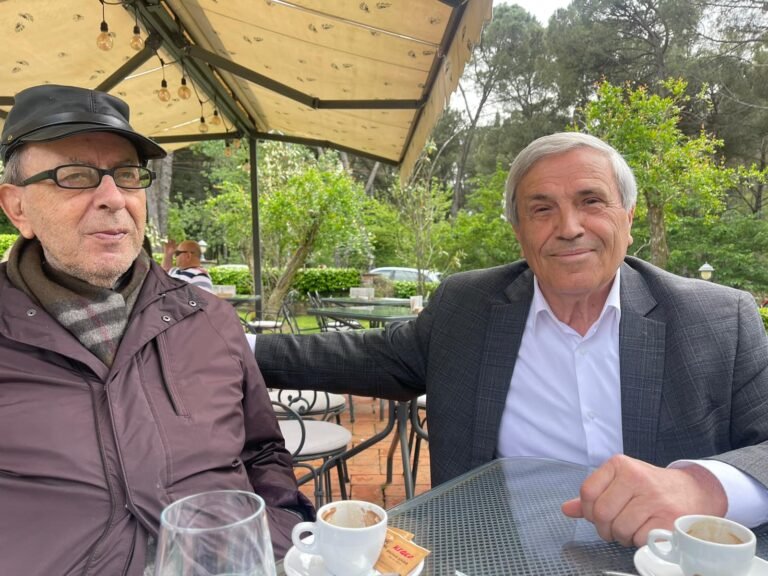 Namik Dokle: Copëza shënimesh për Kadarenë