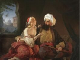 Fulvia Dollmeni Shtëpani: Ali Pasha u vra. Por kush e fitoi historinë?